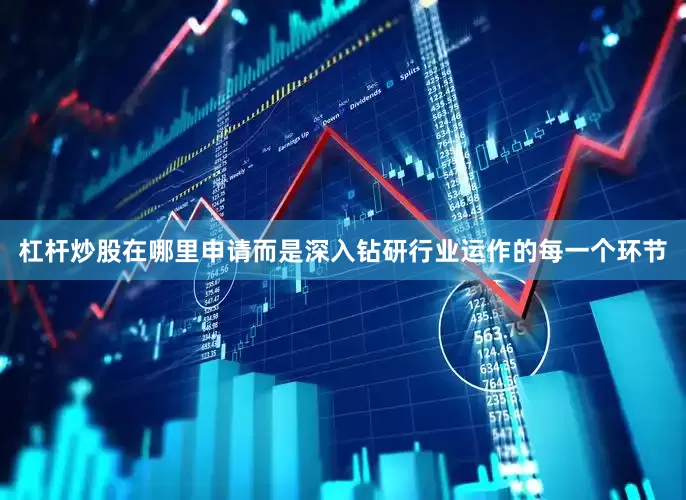 杠杆炒股在哪里申请而是深入钻研行业运作的每一个环节