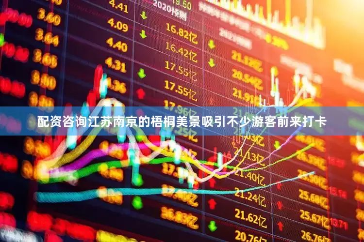 配资咨询江苏南京的梧桐美景吸引不少游客前来打卡