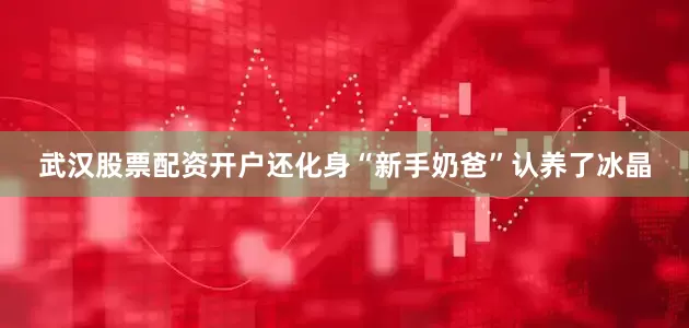 武汉股票配资开户还化身“新手奶爸”认养了冰晶