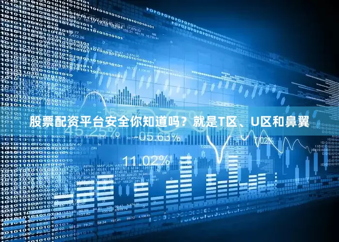 股票配资平台安全你知道吗？就是T区、U区和鼻翼