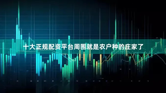 十大正规配资平台周围就是农户种的庄家了