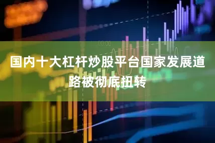 国内十大杠杆炒股平台国家发展道路被彻底扭转